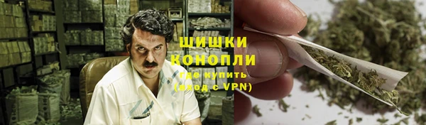 гидропоника Алзамай