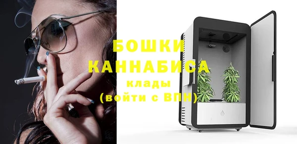 гидропоника Алзамай