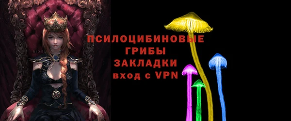 гидропоника Алзамай