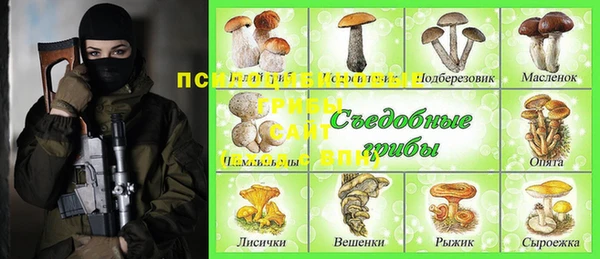 соль ск Абдулино