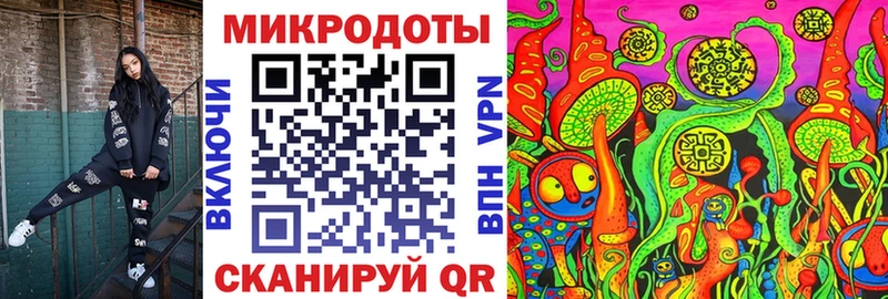 Псилоцибиновые грибы Cubensis цены наркотик Хасавюрт