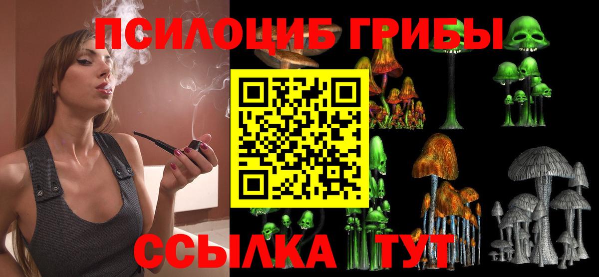 Псилоцибиновые грибы Magic Shrooms  Псилоцибиновые грибы мицелий  Хасавюрт  Вход с VPN 