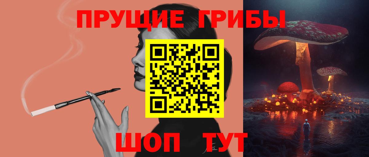 Псилоцибиновые грибы Cubensis Хасавюрт